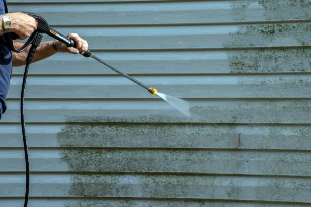 Best Patio and Deck Pressure Washing  in Victoria, MS